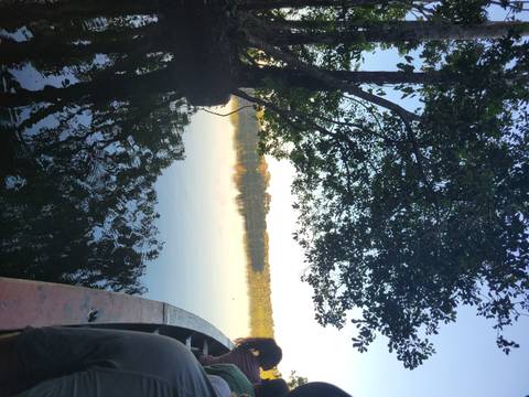 Reflection of trees on a still lake.