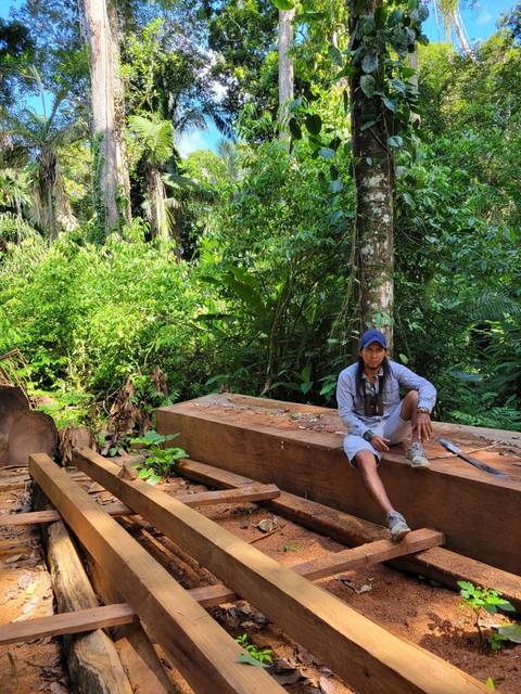 Person working with wood in a forest setting.