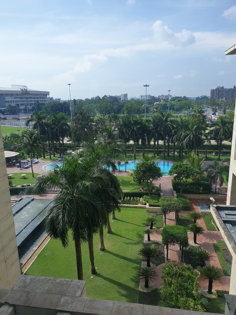 A hotel pool surrounded by palm trees with a view of a city.