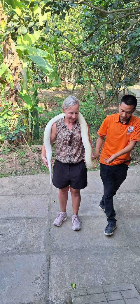       Person holding a large snake with a guide outdoors
  