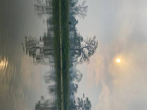 Landscape with a calm body of water reflecting trees and a sun above.