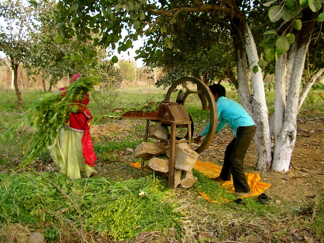 Two people working outside with a traditional hand-crank machine.