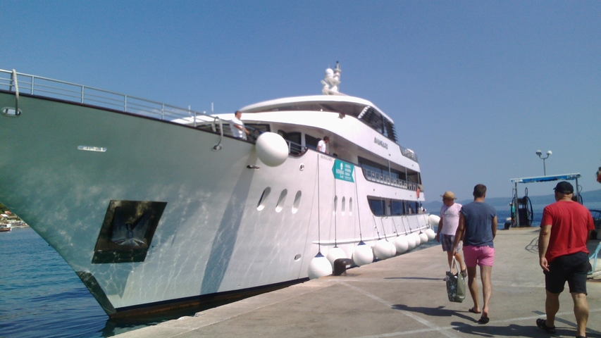 People walking towards a docked cruise ship.
