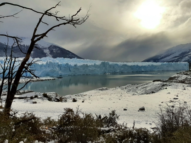 Scenic view of a massive glacier meeting a lake with mountains in the background.