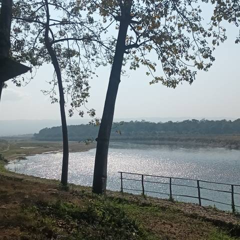       Scenic river view with trees on the bank.
  
