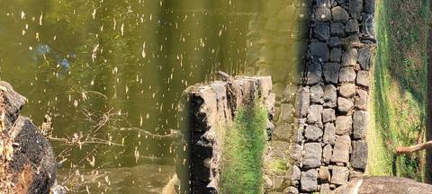       A stone pathway beside a body of water with floating debris.
  