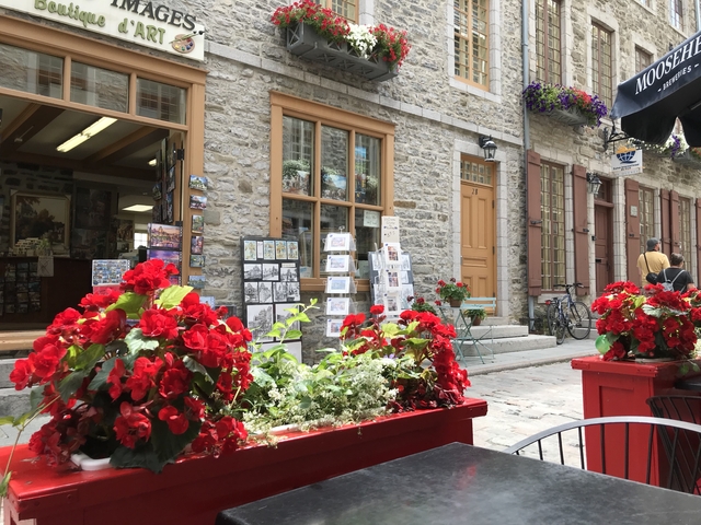       Charming street with flowers and cobblestone sidewalk.
  