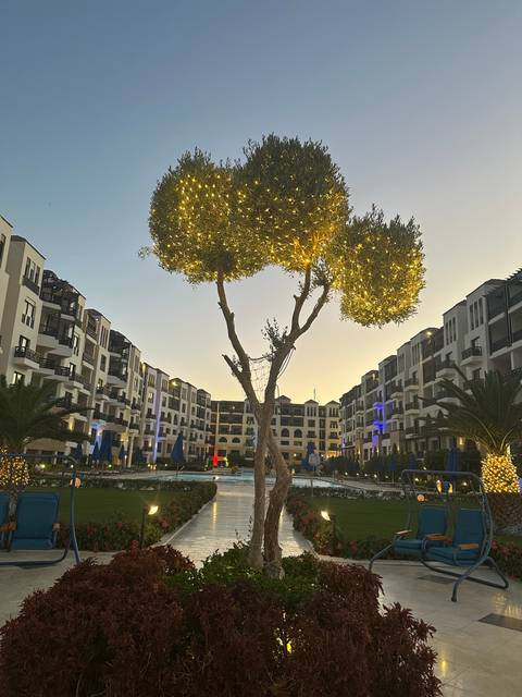       Brightly lit tree and buildings in the background at dusk.
  