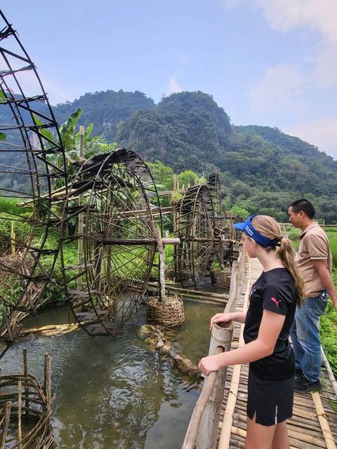 Person on a bridge looking at waterwheels.
