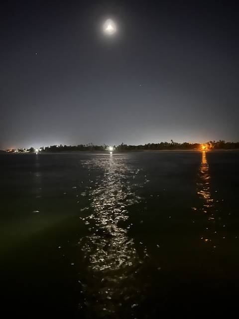       Night view of a river with moonlight reflection.
  