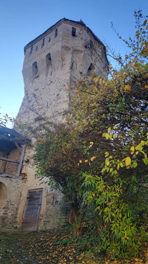 Old stone tower covered with foliage.