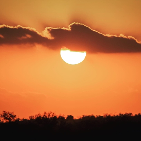       Sun setting behind clouds creating an orange sky.
  