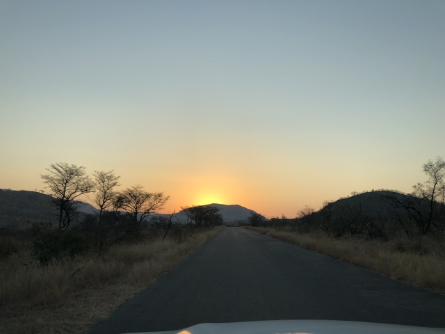 Sunset view on an empty road with trees and hills.
