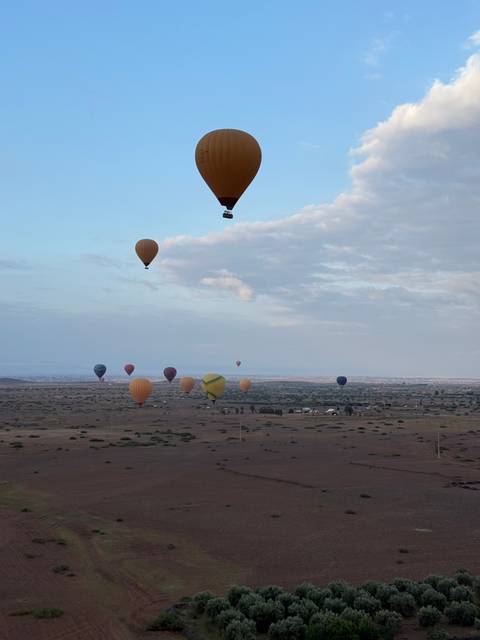 Hot air balloons floating over a barren landscape.