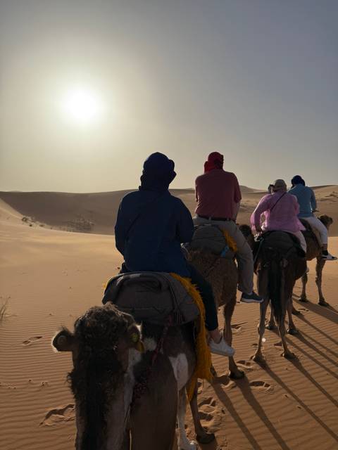 Group riding camels in the desert at sunset.