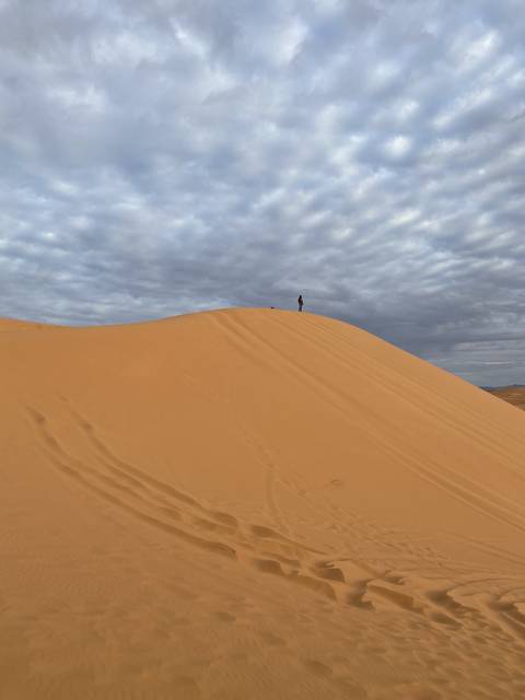 Sand dune landscape viewed from an angle.