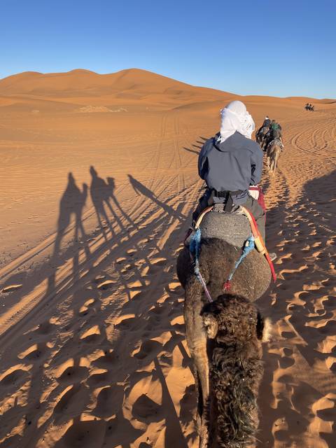       Person riding a camel through a desert landscape.
  