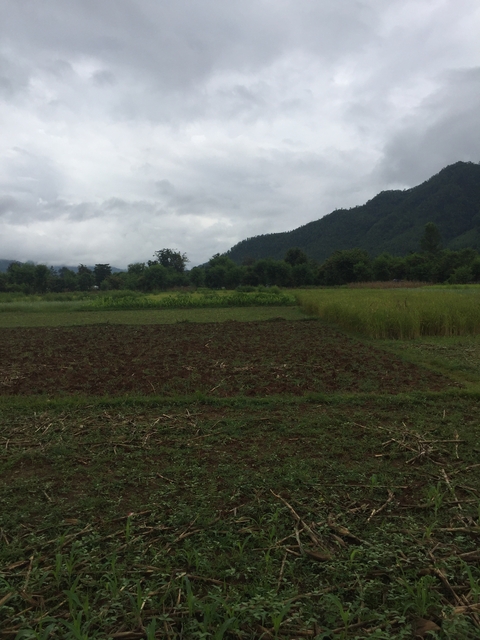 Farming fields with mountains in the distance.