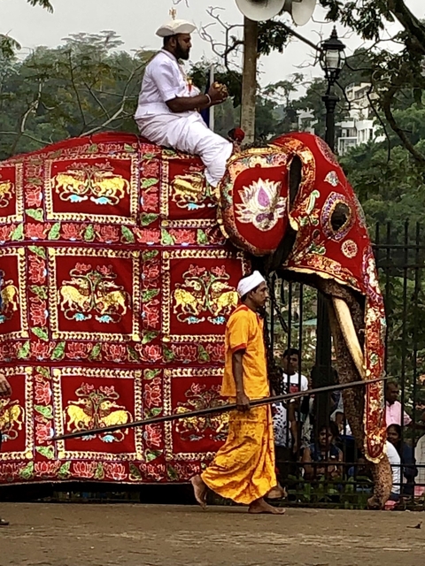       A man standing next to a decorated elephant in ceremonial attire.
  