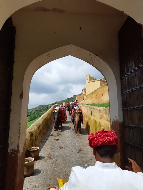       Elephants walking under an archway on a cobblestone path.
  