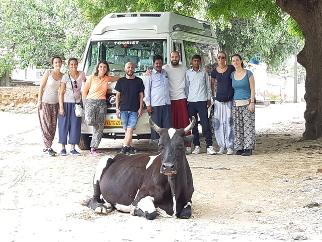 Group of people posing with a cow in front of a touring van.