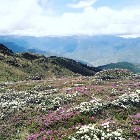       Photo d'avis client sur Aperçu du Bhoutan 
  