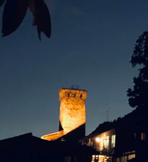       Photo d'avis client sur La Géorgie en tête 
  