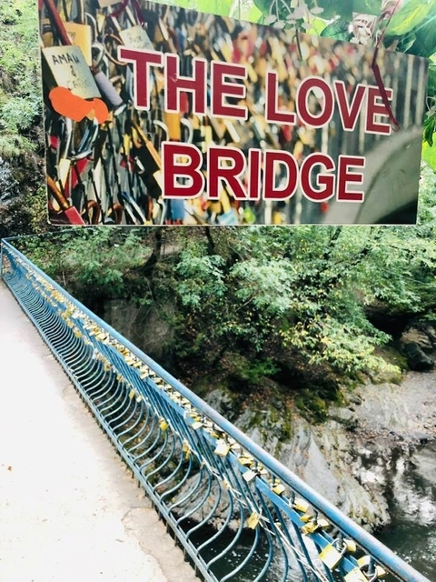       Photo d'avis client sur La Géorgie en tête 
  