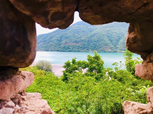       Photo d'avis client sur La Géorgie en tête 
  