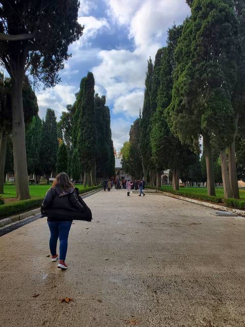       Pathway lined with trees and people walking.
  