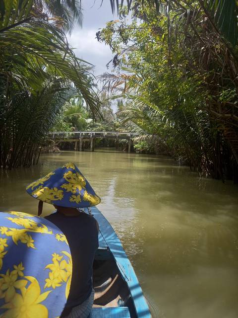 Scenic waterway flanked by lush palm trees with a person on a boat.
