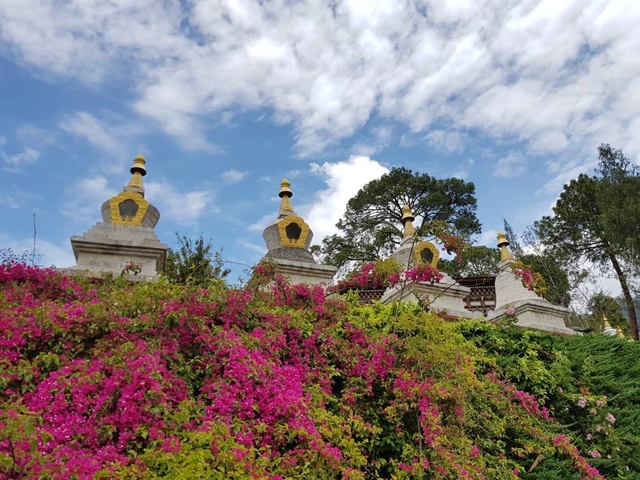       Chortens surrounded by flowers under a blue sky.
  