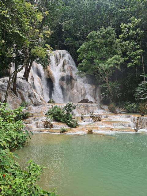       Waterfall surrounded by lush greenery.
  