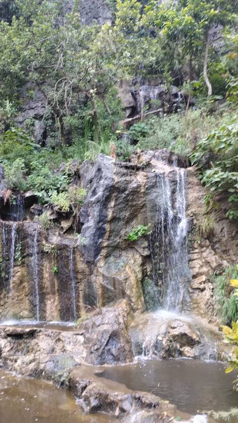 A small waterfall amidst lush green vegetation.