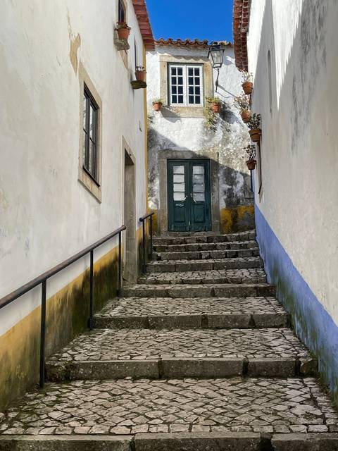 Stone steps and building facade.