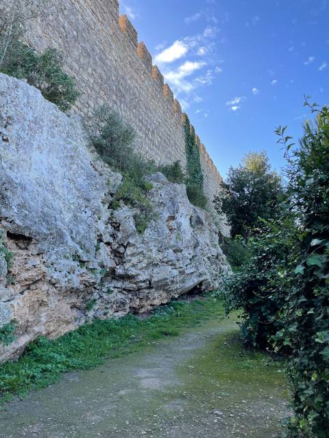 Stone wall and path with vegetation.