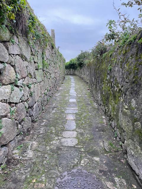 Moss-covered stone path with stone wall.