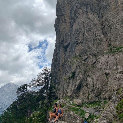 A rocky mountain landscape with pine trees.
