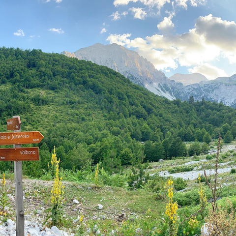 Directional signs pointing to Valbona in a lush valley.