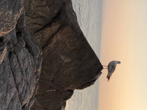       Large rock formation by the sea.
  