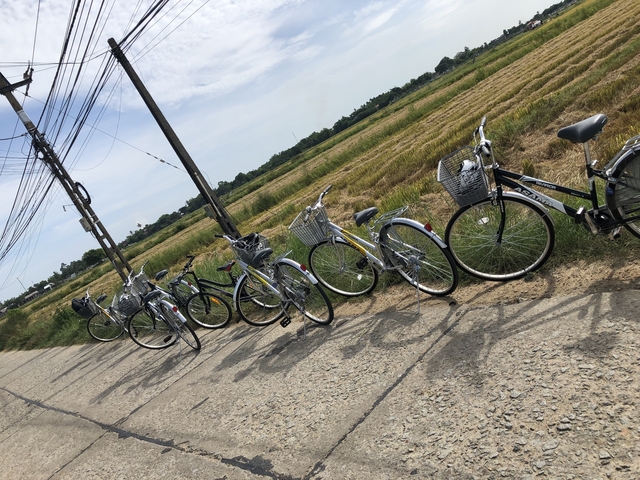 Row of bicycles lined up along a road with fields in the background.