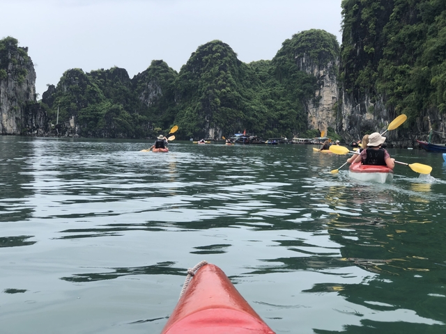 People kayaking in a bay surrounded by tall green cliffs.
