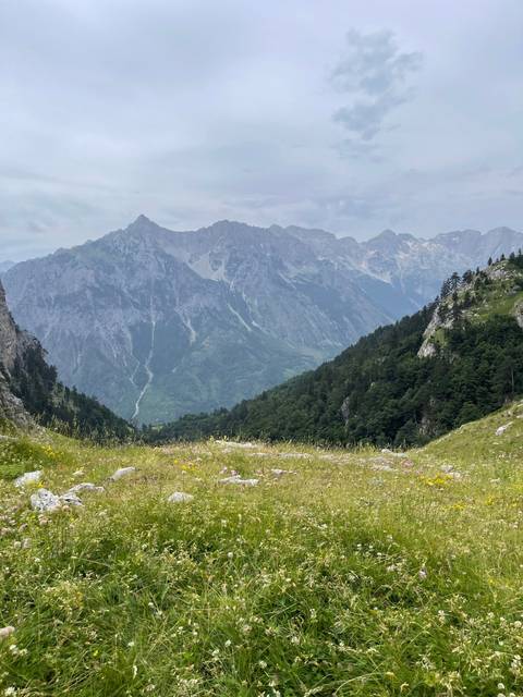       Mountain range with meadow in the foreground.
  