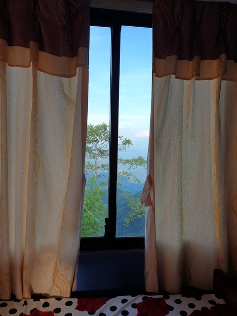 View through curtains of a tree and a distant landscape.
