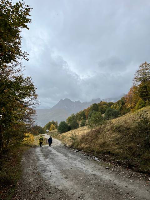       Two hikers walking on a forest path.
  