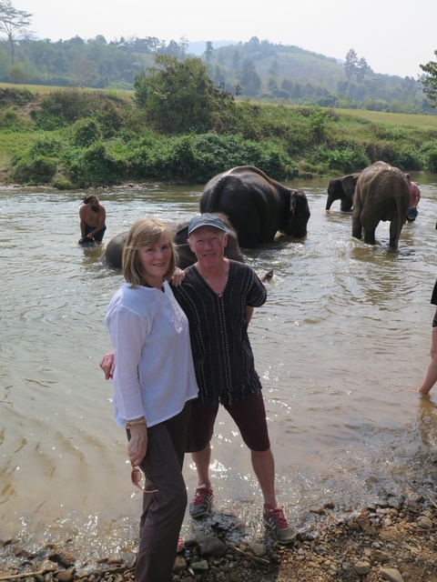       People standing in a river with elephants.
  