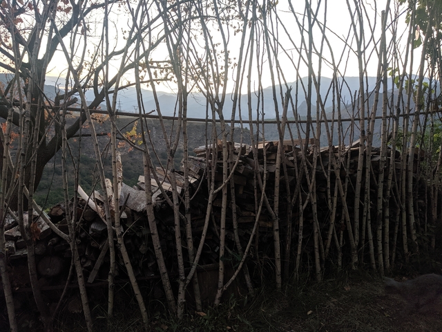       Stack of firewood behind a wooden fence with a view of distant mountains.
  