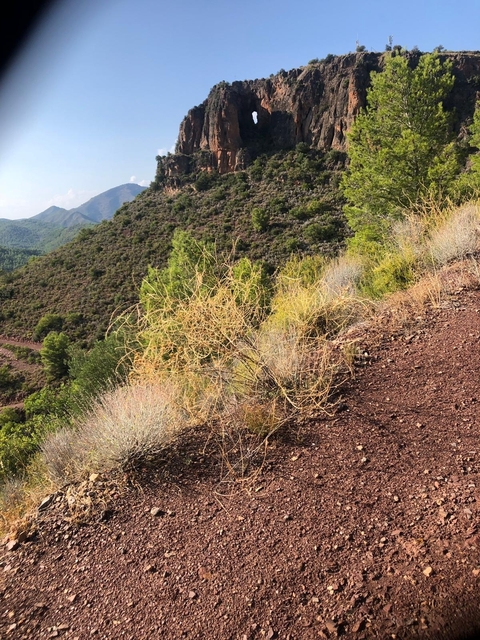 A dry hillside with shrubs and a distant mountain backdrop.