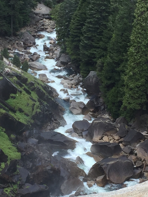 River flowing through rocky terrain surrounded by trees