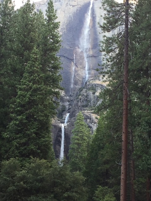 Waterfall cascading down a rocky cliff surrounded by trees
